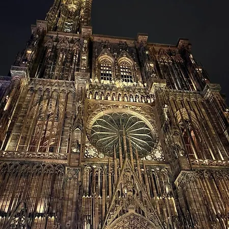 Daire Grand Aux Portes De Strasbourg Ittenheim